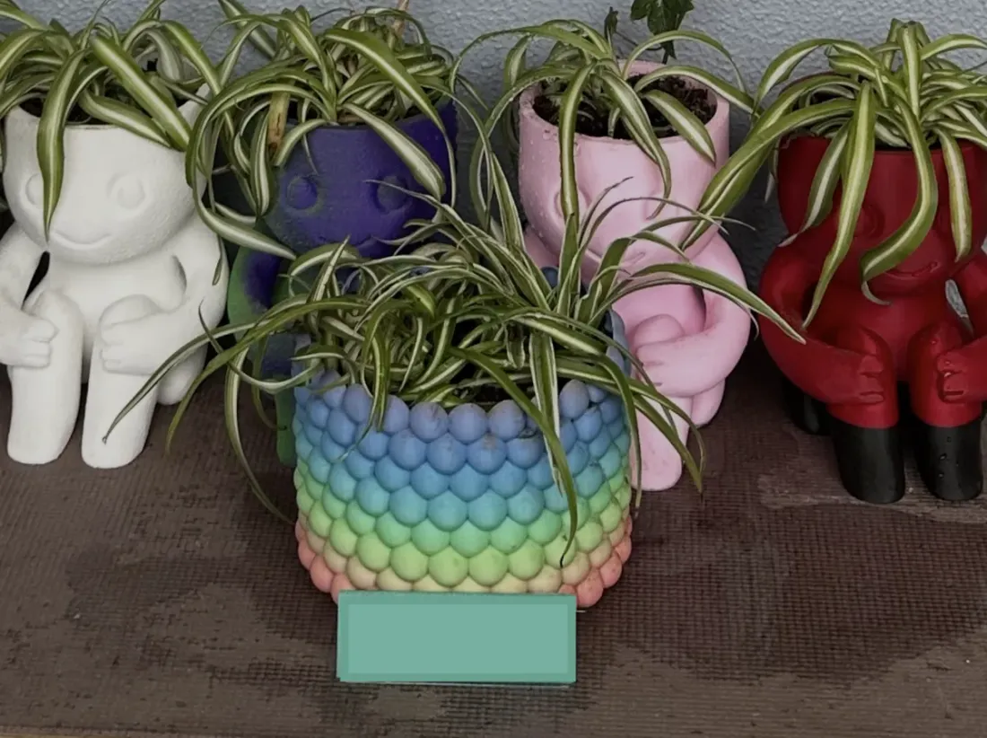Bubble Planter, photo 4