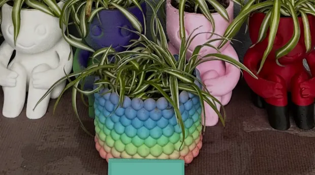 Bubble-textured planter with built-in drainage mesh