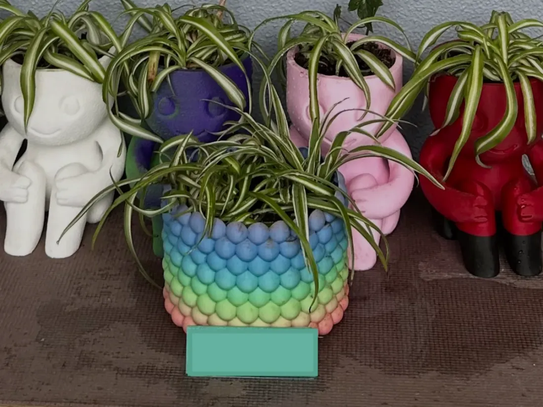 Bubble-textured planter with built-in drainage mesh