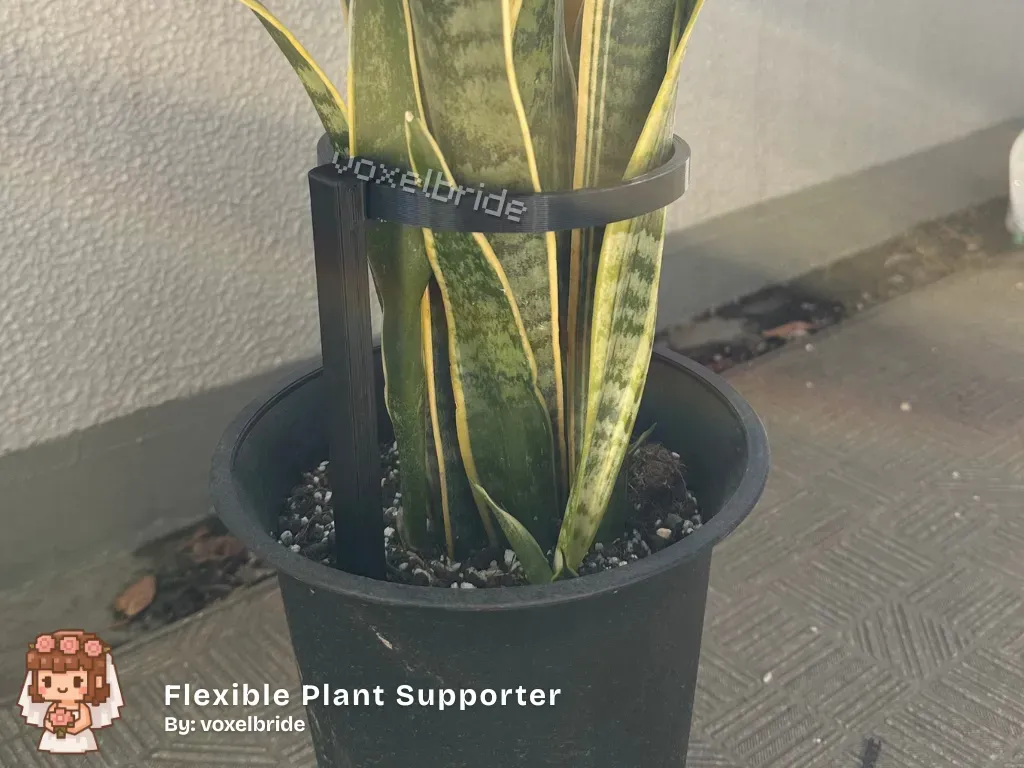 Flexible Plant Holder Ring, photo 3