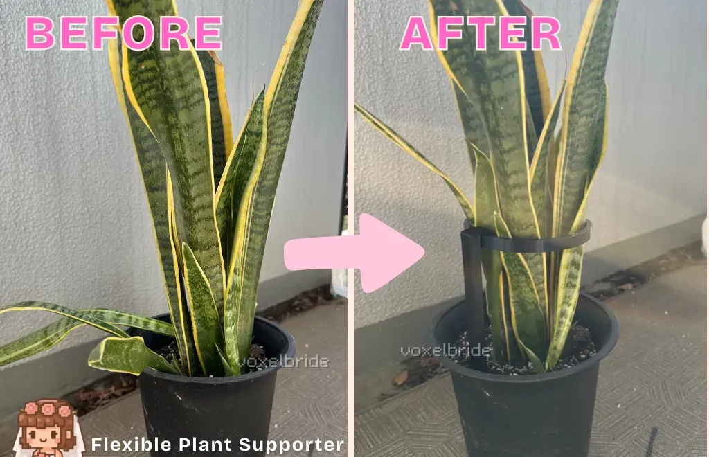 Flexible 3D printed plant holder ring