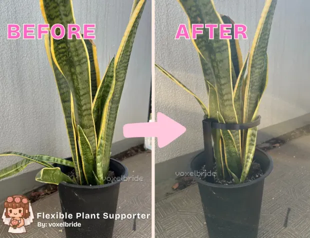Flexible 3D printed plant holder ring