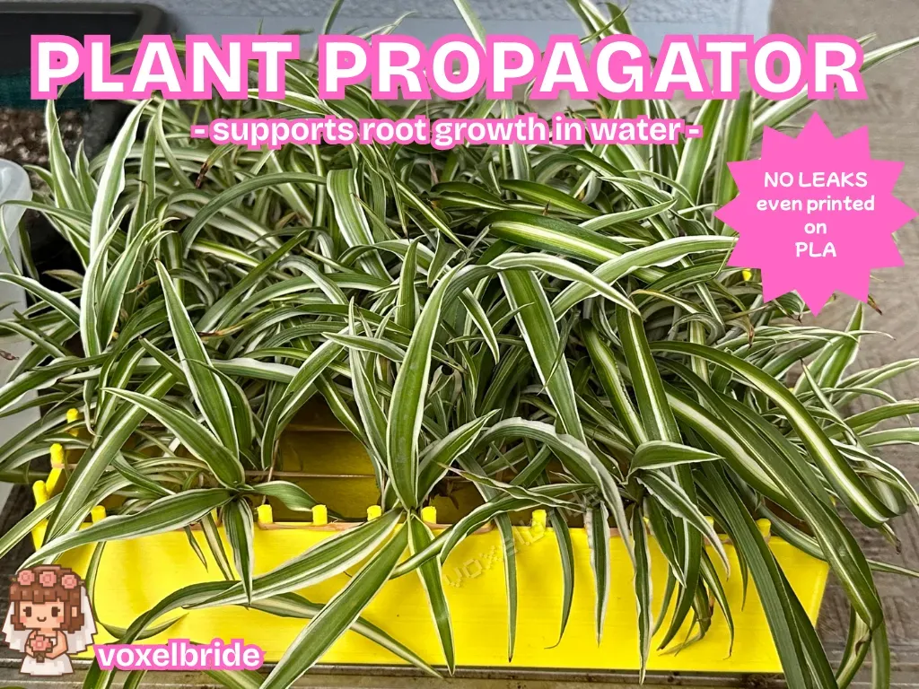 Square 3D printed plant propagation station