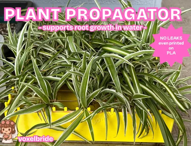 Square 3D printed plant propagation station